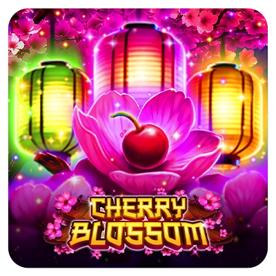 Cherry Blossom